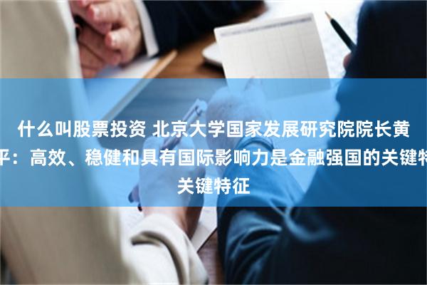 什么叫股票投资 北京大学国家发展研究院院长黄益平：高效、稳健和具有国际影响力是金融强国的关键特征