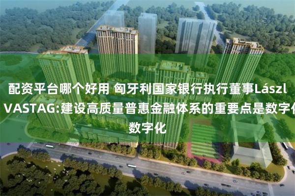 配资平台哪个好用 匈牙利国家银行执行董事László VASTAG:建设高质量普惠金融体系的重要点是数字化