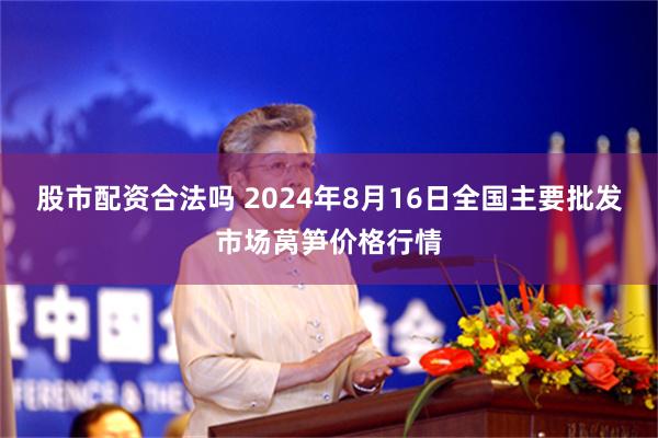 股市配资合法吗 2024年8月16日全国主要批发市场莴笋价格行情