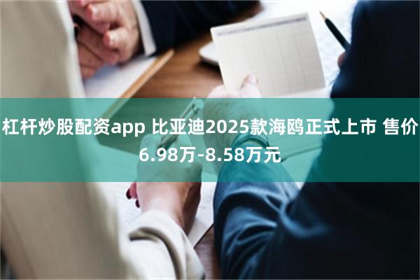 杠杆炒股配资app 比亚迪2025款海鸥正式上市 售价6.98万-8.58万元