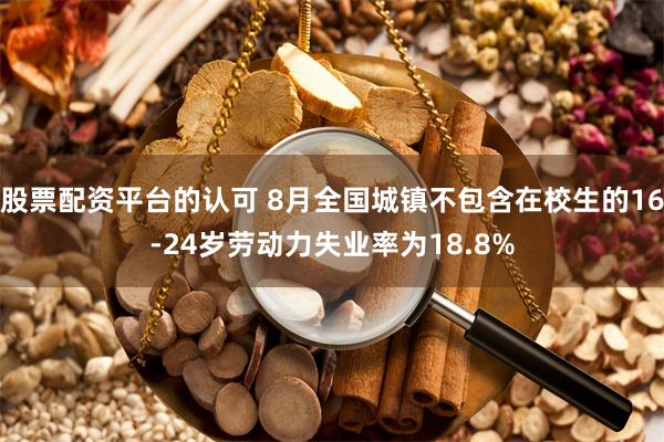 股票配资平台的认可 8月全国城镇不包含在校生的16-24岁劳动力失业率为18.8%