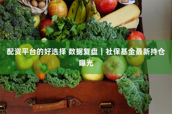 配资平台的好选择 数据复盘｜社保基金最新持仓曝光